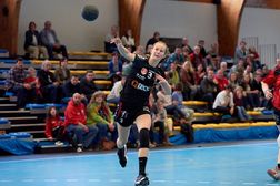 Handbalclub Uilenspiegel organiseert voor de 16e keer de Wilrijkcup!