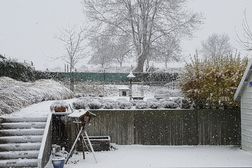 Koning winter - afgelasting