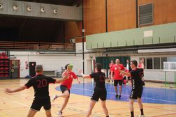 Sfeervolle fithandbaldag in Merksem