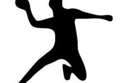 VTS Instructeur B handbal Dendermonde specifiek gedeelte